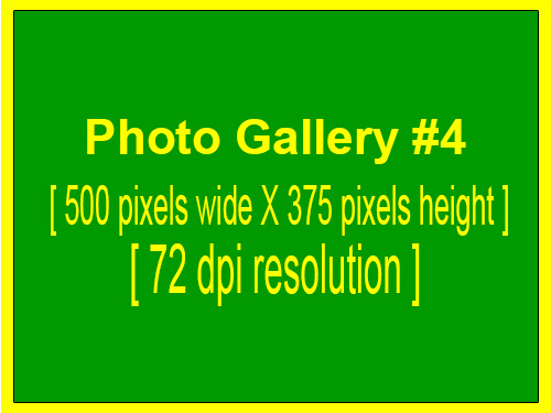 Photo Gallery Image #4