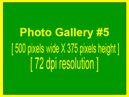 Photo Gallery Image #5